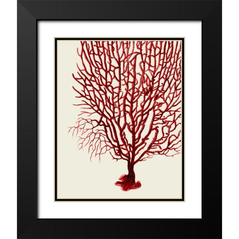 Red Corals 2 b Black Modern Wood Framed Art Print with Double Matting by Fab Funky