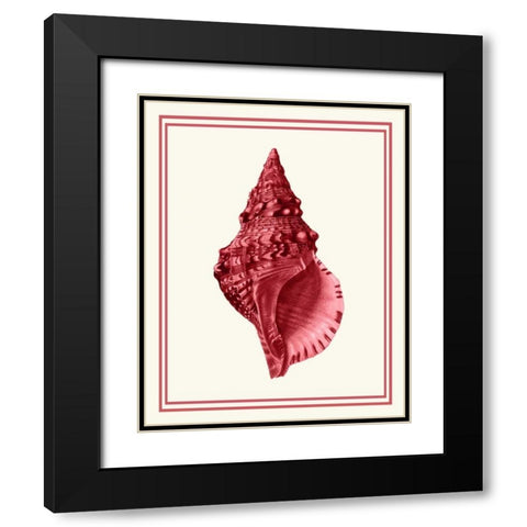 Mixed Nautical Coral on Cream c Black Modern Wood Framed Art Print with Double Matting by Fab Funky