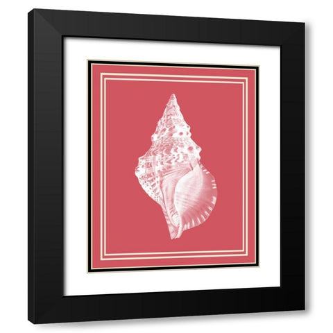 Mixed Nautical White on Coral d Black Modern Wood Framed Art Print with Double Matting by Fab Funky