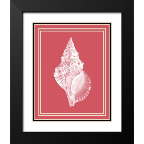 Mixed Nautical White on Coral d Black Modern Wood Framed Art Print with Double Matting by Fab Funky