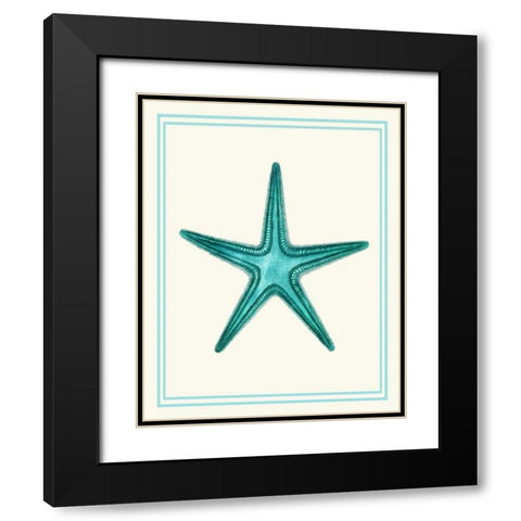 Mixed Nautical Turquoise on Cream f Black Modern Wood Framed Art Print with Double Matting by Fab Funky