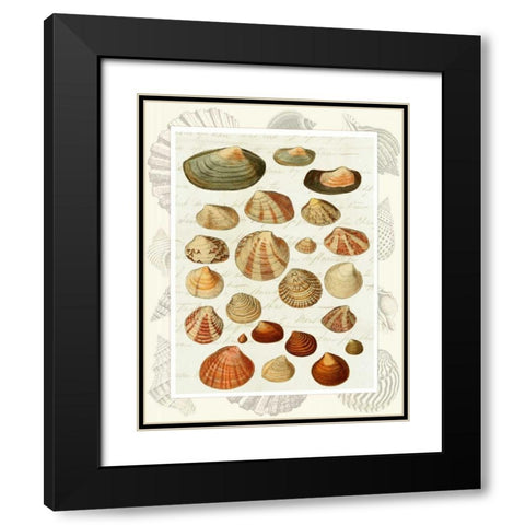 Shells on Vintage Script Black Modern Wood Framed Art Print with Double Matting by Fab Funky