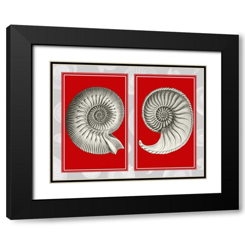 Nautilus Shells On Red Black Modern Wood Framed Art Print with Double Matting by Fab Funky