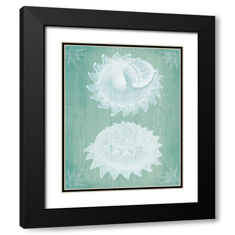 Shells White on Turquoise Black Modern Wood Framed Art Print with Double Matting by Fab Funky