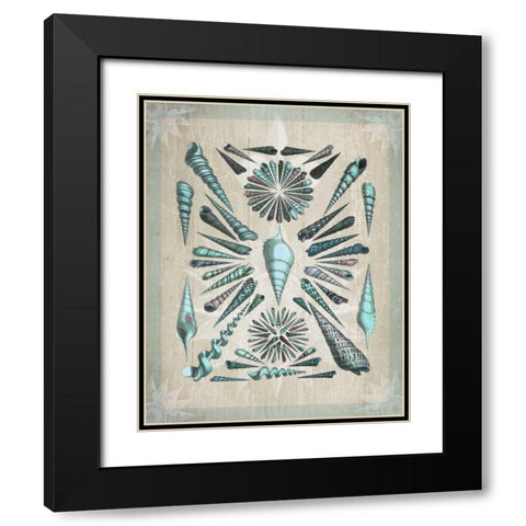 Shell Collection 5 Black Modern Wood Framed Art Print with Double Matting by Fab Funky