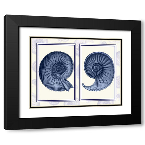 Nautilus Shells Indigo Blue Black Modern Wood Framed Art Print with Double Matting by Fab Funky