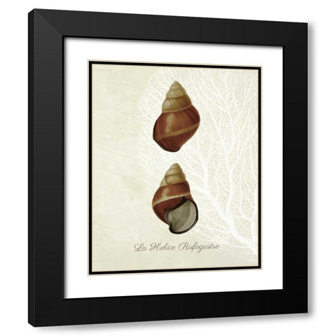 French Shell Print a Black Modern Wood Framed Art Print with Double Matting by Fab Funky