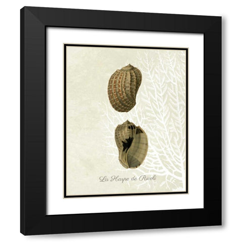 French Shell Print c Black Modern Wood Framed Art Print with Double Matting by Fab Funky