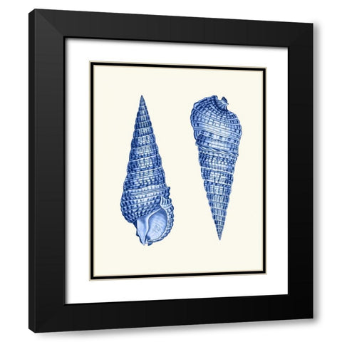 2 Blue Shells a Black Modern Wood Framed Art Print with Double Matting by Fab Funky