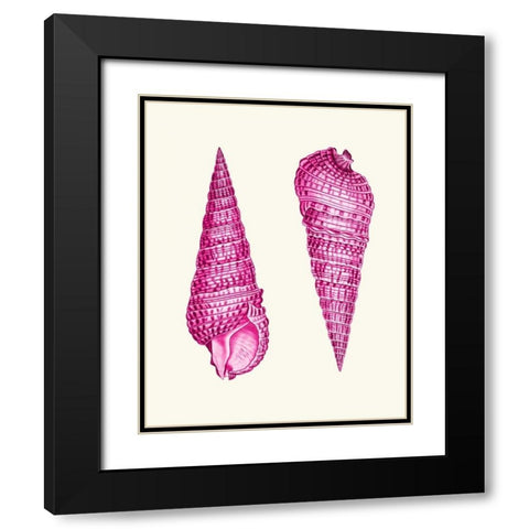 Pink Shells a Black Modern Wood Framed Art Print with Double Matting by Fab Funky