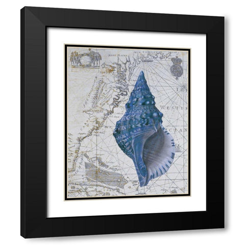 Seashell Collection 1 a Black Modern Wood Framed Art Print with Double Matting by Fab Funky