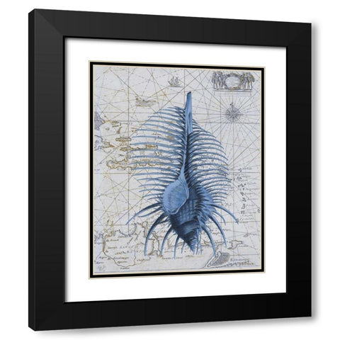 Seashell Collection 1 b Black Modern Wood Framed Art Print with Double Matting by Fab Funky