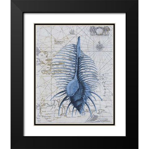 Seashell Collection 1 b Black Modern Wood Framed Art Print with Double Matting by Fab Funky