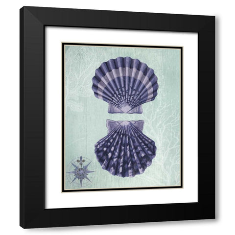 Seashell Collection 2 a Black Modern Wood Framed Art Print with Double Matting by Fab Funky