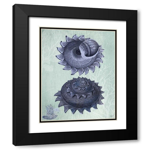 Seashell Collection 2 b Black Modern Wood Framed Art Print with Double Matting by Fab Funky