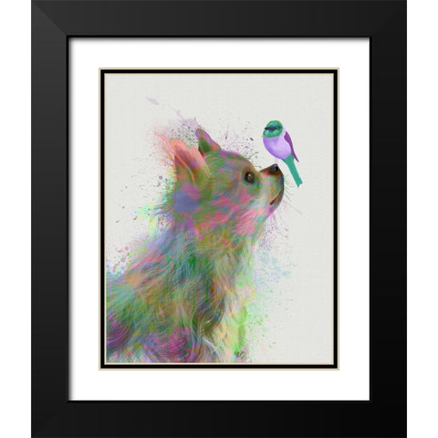 Chihuahua, Long Haired, Rainbow Splash Black Modern Wood Framed Art Print with Double Matting by Fab Funky