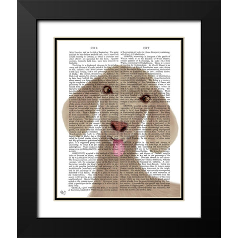 Funny Farm Goat 1 Book Print Black Modern Wood Framed Art Print with Double Matting by Fab Funky