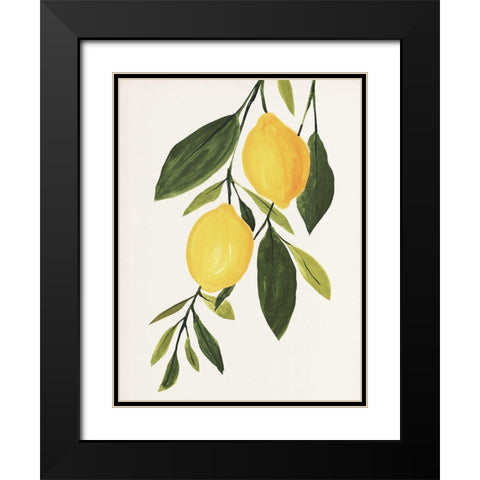 Lemon Branch I Black Modern Wood Framed Art Print with Double Matting by Warren, Annie