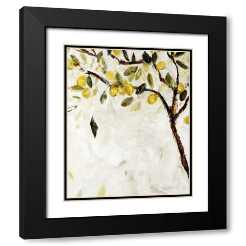 Meyer Lemon Tree Black Modern Wood Framed Art Print with Double Matting by Maas, Jodi