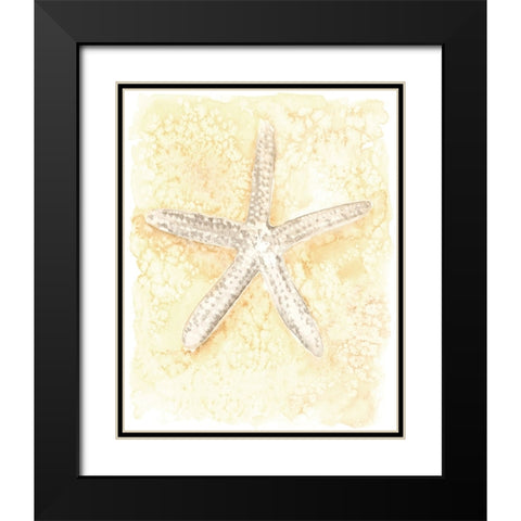 Salty Seashell I Black Modern Wood Framed Art Print with Double Matting by Warren, Annie
