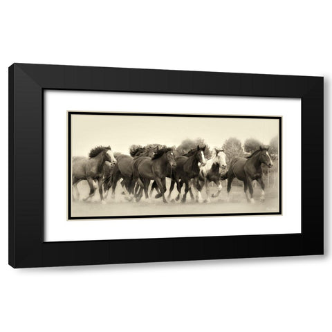 Running Free Black Modern Wood Framed Art Print with Double Matting by Drost, David