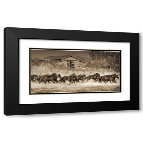 A Dozen Quarters Black Modern Wood Framed Art Print with Double Matting by Drost, David