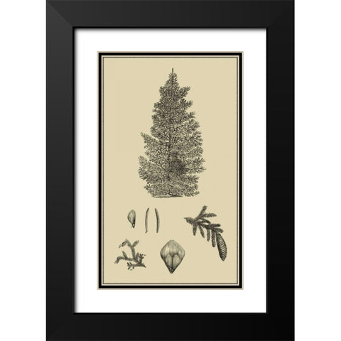 Arbor Study I Black Modern Wood Framed Art Print with Double Matting by Vision Studio