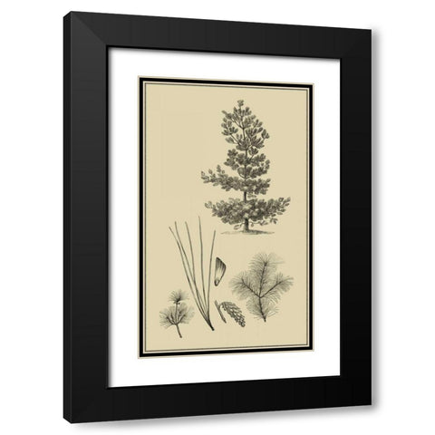 Arbor Study III Black Modern Wood Framed Art Print with Double Matting by Vision Studio