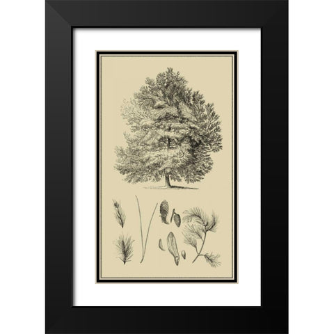 Arbor Study IV Black Modern Wood Framed Art Print with Double Matting by Vision Studio