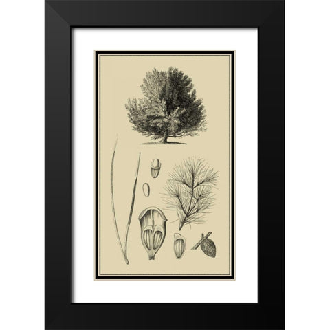 Arbor Study V Black Modern Wood Framed Art Print with Double Matting by Vision Studio