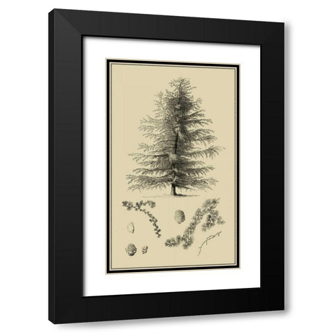 Arbor Study VI Black Modern Wood Framed Art Print with Double Matting by Vision Studio