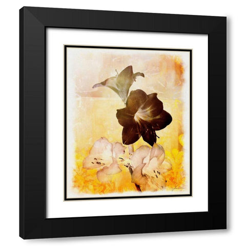 Brocade Garden II Black Modern Wood Framed Art Print with Double Matting by Burghardt, James
