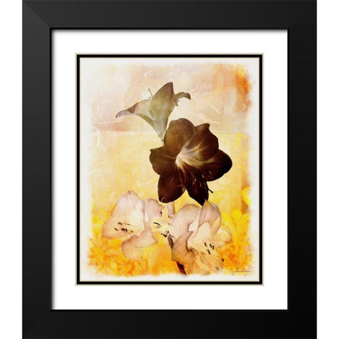 Brocade Garden II Black Modern Wood Framed Art Print with Double Matting by Burghardt, James