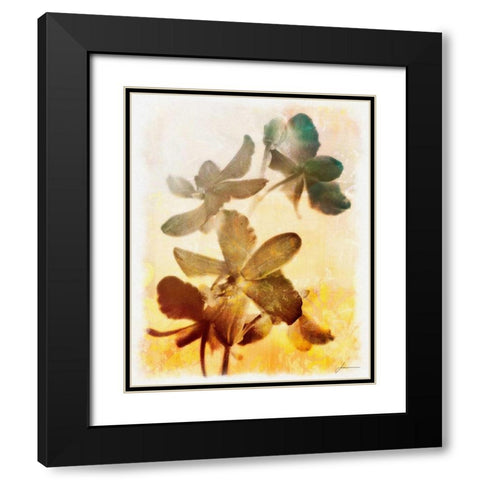 Brocade Garden III Black Modern Wood Framed Art Print with Double Matting by Burghardt, James