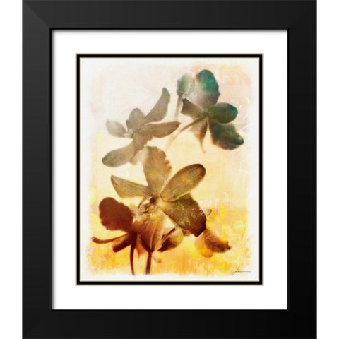 Brocade Garden III Black Modern Wood Framed Art Print with Double Matting by Burghardt, James