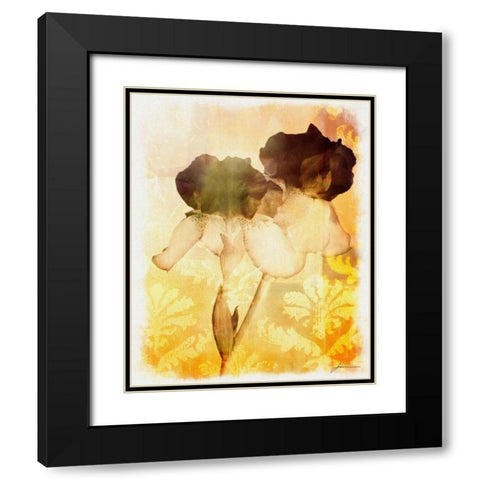 Brocade Garden IV Black Modern Wood Framed Art Print with Double Matting by Burghardt, James