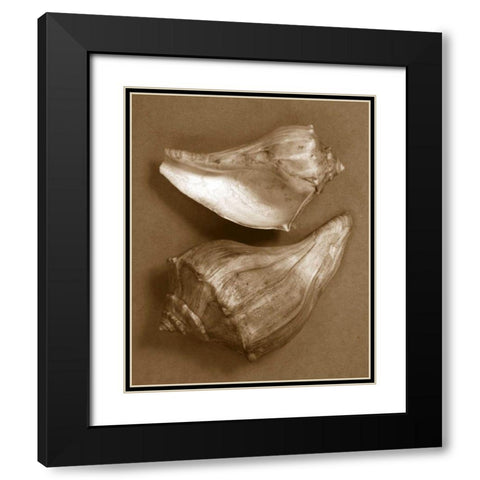 Sensual Shells I Black Modern Wood Framed Art Print with Double Matting by Stramel, Renee W.