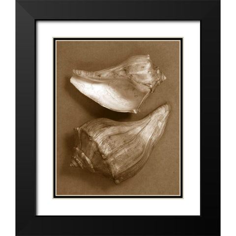 Sensual Shells I Black Modern Wood Framed Art Print with Double Matting by Stramel, Renee W.