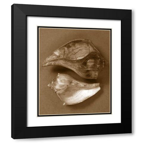 Sensual Shells II Black Modern Wood Framed Art Print with Double Matting by Stramel, Renee W.