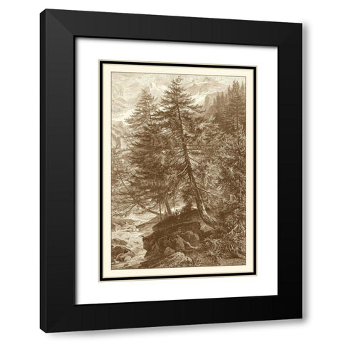 Sepia Larch Tree Black Modern Wood Framed Art Print with Double Matting by Heyn, Ernst