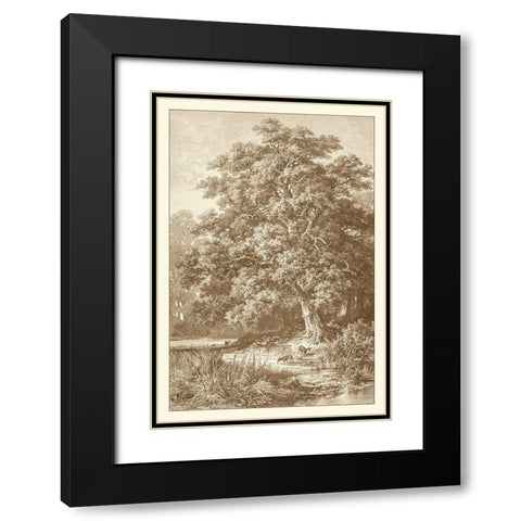 Sepia Oak Tree Black Modern Wood Framed Art Print with Double Matting by Heyn, Ernst