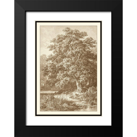 Sepia Oak Tree Black Modern Wood Framed Art Print with Double Matting by Heyn, Ernst