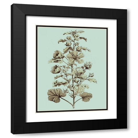 Imperial Munting I Black Modern Wood Framed Art Print with Double Matting by Munting, Abraham