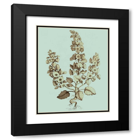 Imperial Munting II Black Modern Wood Framed Art Print with Double Matting by Munting, Abraham