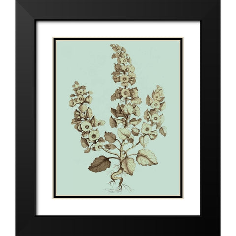 Imperial Munting II Black Modern Wood Framed Art Print with Double Matting by Munting, Abraham