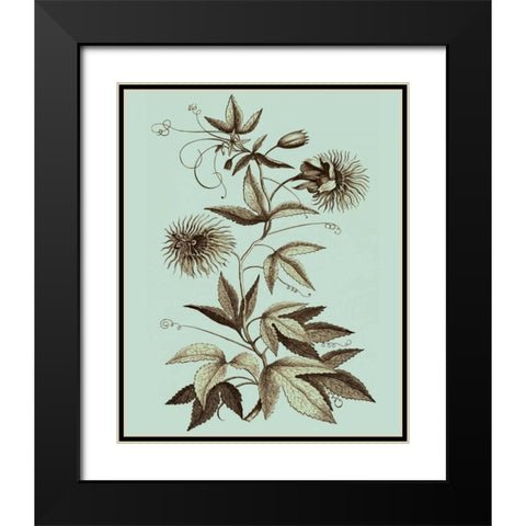 Imperial Munting III Black Modern Wood Framed Art Print with Double Matting by Munting, Abraham