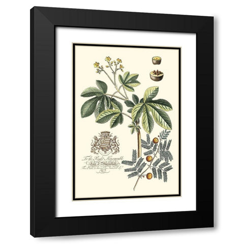 Imperial Foliage I Black Modern Wood Framed Art Print with Double Matting by Vision Studio