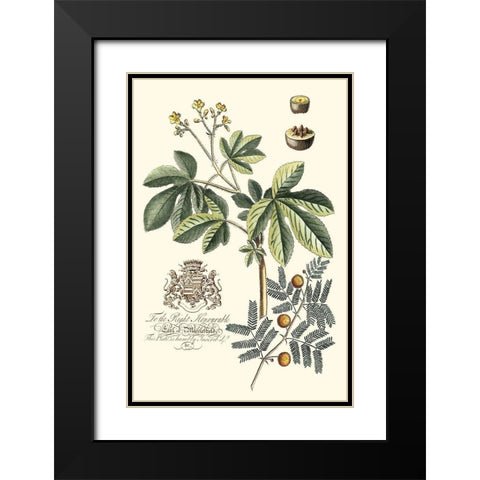 Imperial Foliage I Black Modern Wood Framed Art Print with Double Matting by Vision Studio