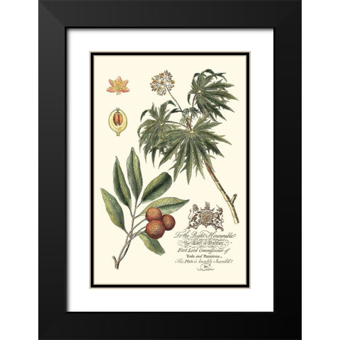 Imperial Foliage II Black Modern Wood Framed Art Print with Double Matting by Vision Studio