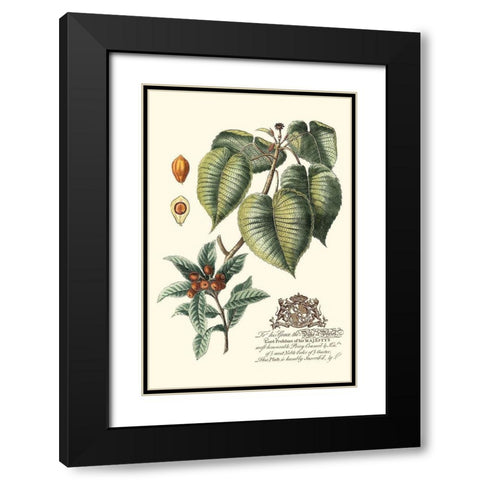 Imperial Foliage III Black Modern Wood Framed Art Print with Double Matting by Vision Studio